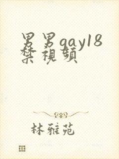 男男gay18禁视频