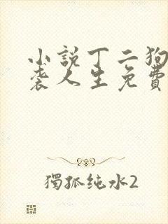 小说丁二狗的逆袭人生免费阅读