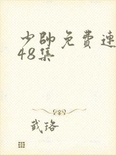 少帅免费连续剧48集