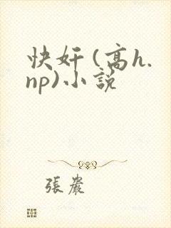 快奸 (高h.np)小说