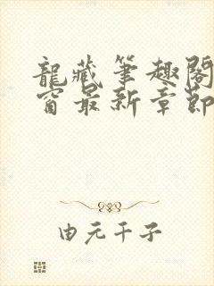 龙藏笔趣阁无弹窗最新章节