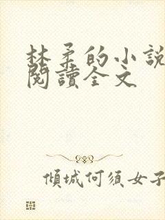 林柔的小说在线阅读全文