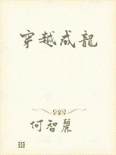 穿越成龙