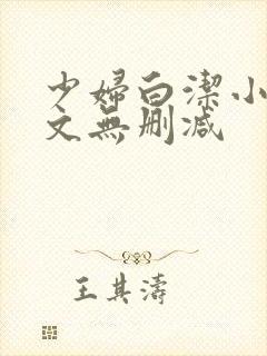 少妇白洁小说全文无删减