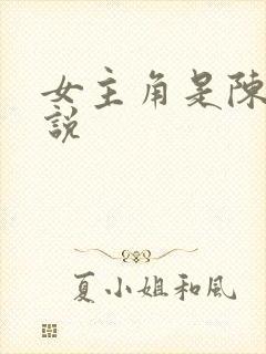 女主角是陈雪小说封面