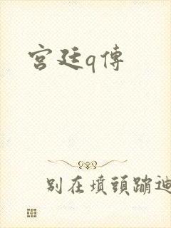 宫廷q传