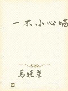一不小心喵上你封面