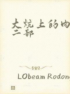 大炕上的肉伦第二部