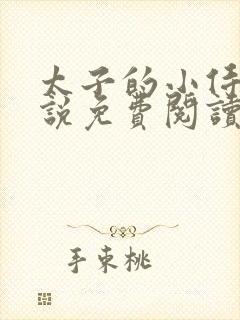 太子的小侍妾小说免费阅读全文