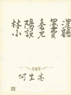 林阳秦墨浓有声小说免费听书