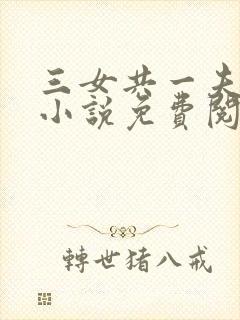 三女共一夫宏伟小说免费阅读全文