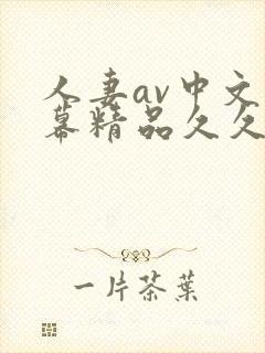 人妻av中文字幕精品久久久