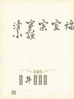 清穿宗室福晋的小说封面