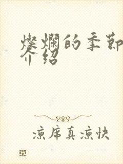 灿烂的季节剧情介绍