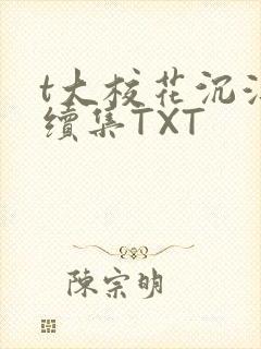 t大校花沉浮录续集TXT封面
