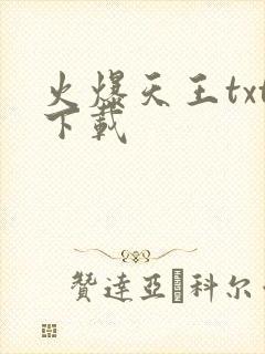火爆天王txt下载