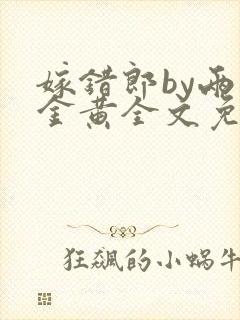 嫁错郎by两面金黄全文免费阅读笔趣阁封面