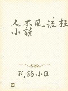 人不风流枉少年小说