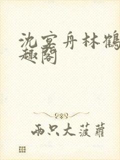 沈宴舟林鹤眠笔趣阁