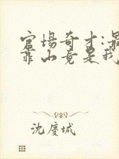 官场奇才:最强靠山竟是我自己李澜小说最封面