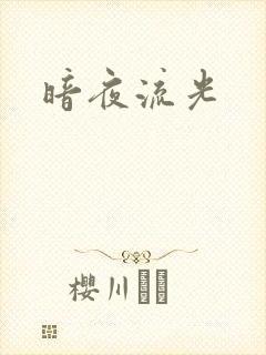 暗夜流光