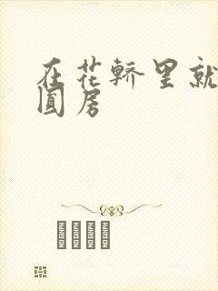 在花轿里就开始圆房封面