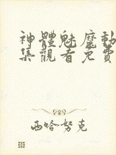 神体魅魔动漫全集观看免费