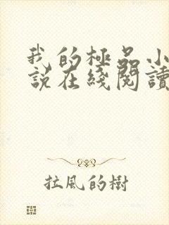 我的极品小姨小说在线阅读全文免费封面