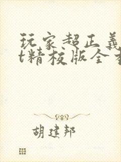 玩家超正义txt精校版全本