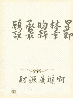 顾承昀林星禾小说最新章节免费阅读