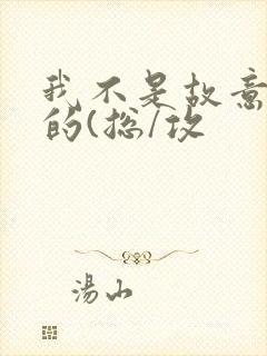 我不是故意出轨的(总/攻