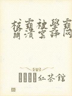 校霸被学霸玩到崩溃云译网