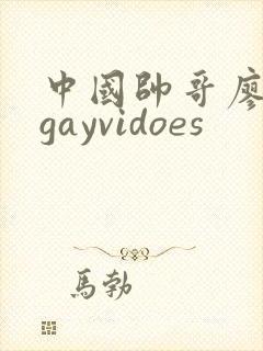 中国帅哥廖承宇gayvidoes