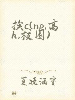 挨c(np,高h,校园)