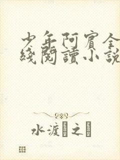 少年阿宾全文在线阅读小说