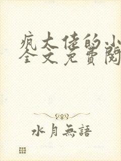 疯大佬的小玩物全文免费阅读小说封面