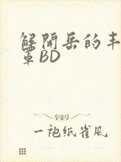 解开岳的丰满奶罩BD