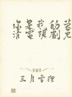 你是我的荣耀高清电视剧免费观看封面