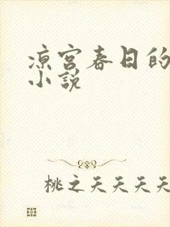 凉宫春日的忧郁小说