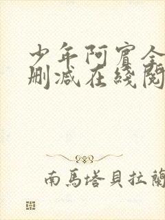 少年阿宾全文无删减在线阅读