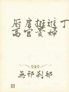 厨房挺进丁字裤高官贵妇