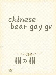 chinese bear gay gv封面