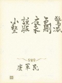 小说夜色惊人完整版未删减小说