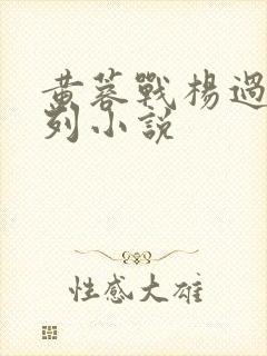 黄蓉战杨过色系列小说