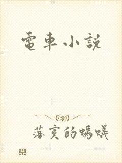 电车小说