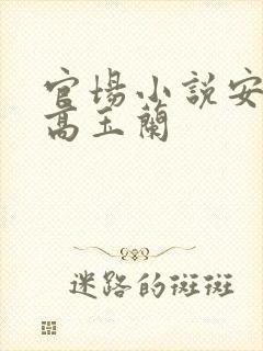 官场小说安江与高玉兰封面