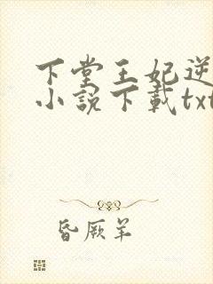 下堂王妃逆袭记小说下载txt