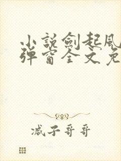 小说剑起风云无弹窗全文免费阅读封面