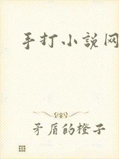 手打小说网
