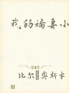 我的娇妻小说